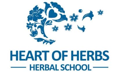 Aromatherapy: How It Brought Wellness Back To Her Family’s Life