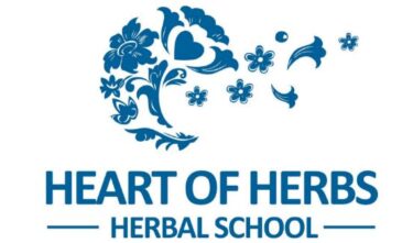 Aromatherapy: How It Brought Wellness Back To Her Family’s Life